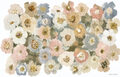 Image Not Available